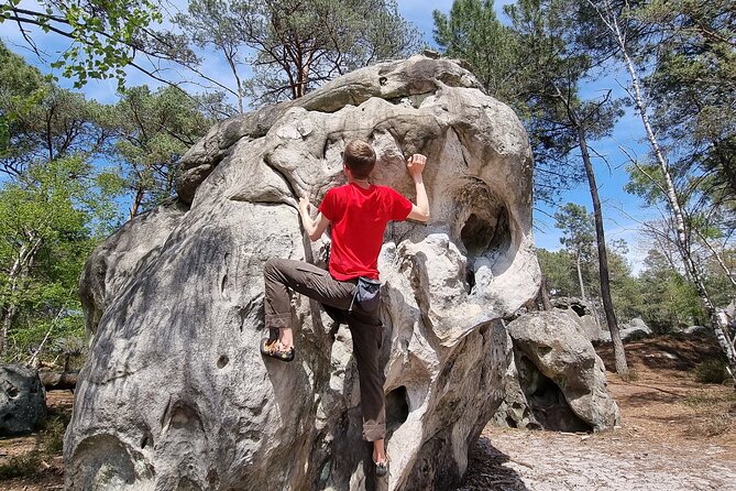 Half-Day Bouldering in Fontainebleau - Weather Contingency
