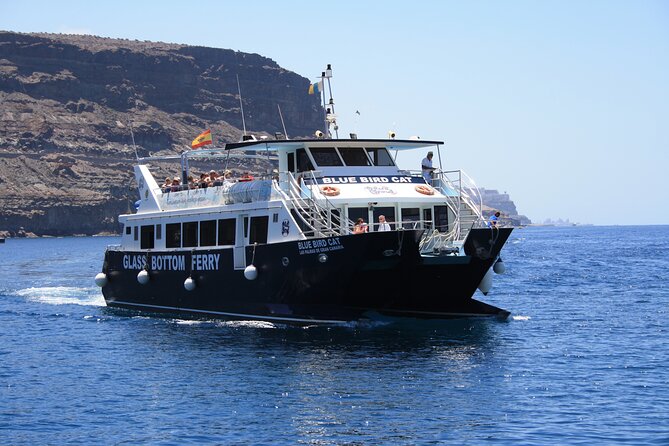 Half-Day Cruise Tour-Dolphin and Whale Watching - Tour Cost Details