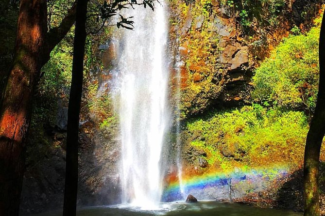 Half-Day Kayak and Waterfall Hike Tour in Kauai With Lunch - Recommendations