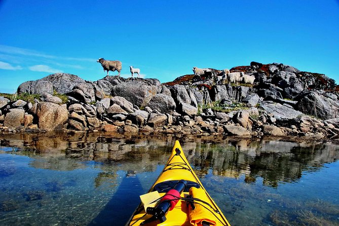 Half Day Kayak - Northern Explores AS - Tour Highlights and Refund Policy
