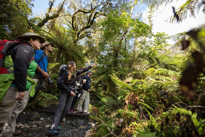 Half-Day Milford Track Guided Hiking Tour - Common questions