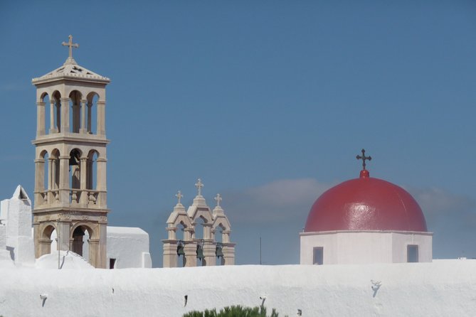 Half-Day Private Guided Tour in Mykonos - Logistics and Pickup Points