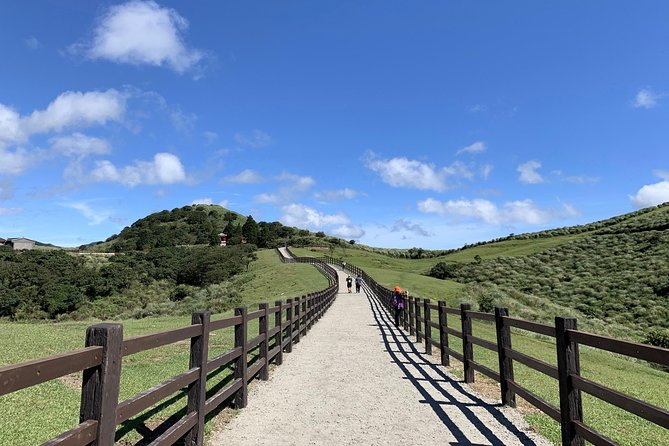 Half Day Private Tour to Yangmingshan National Park and Yehliu Geopark - Pricing Details