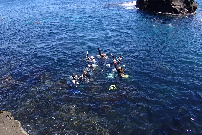 Half-Day Snorkeling Course Relieved at the Beginning Even in the Sea of Izu, Veteran Instructors Wil - Snorkeling Course Highlights