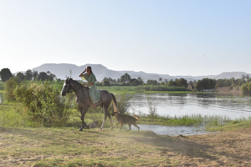 Half-Day to Discover Luxor on Horseback - Last Words