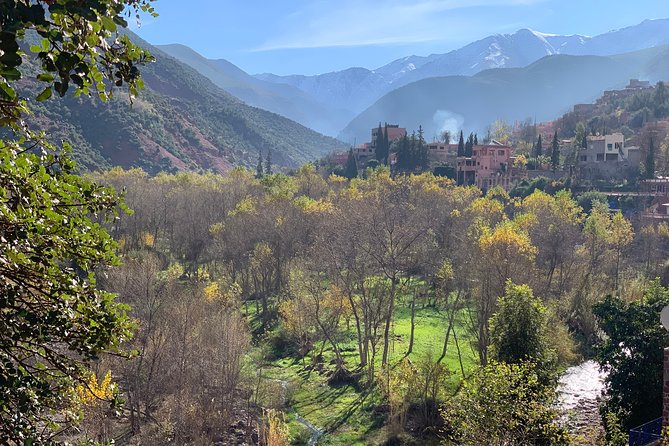 Half Day Tour in Ourika Valley and the Atlas Mountains - Common questions