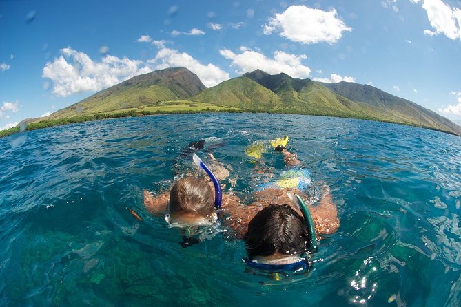 Hawaiian Outrigger Canoe Cultural and Turtle Tour - Tour Operator Information