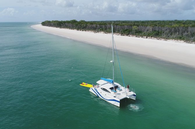 Hervey Bay to Fraser Island Half-Day Sail and Dolphin Watching (Mar ) - Common questions