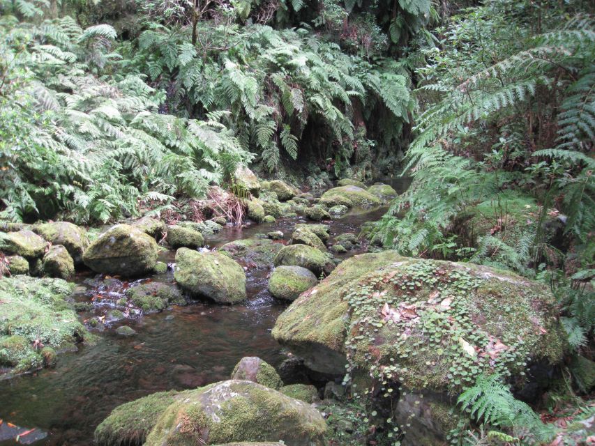 Hidden Corners, the Kings Levada Full Day Hike - Common questions