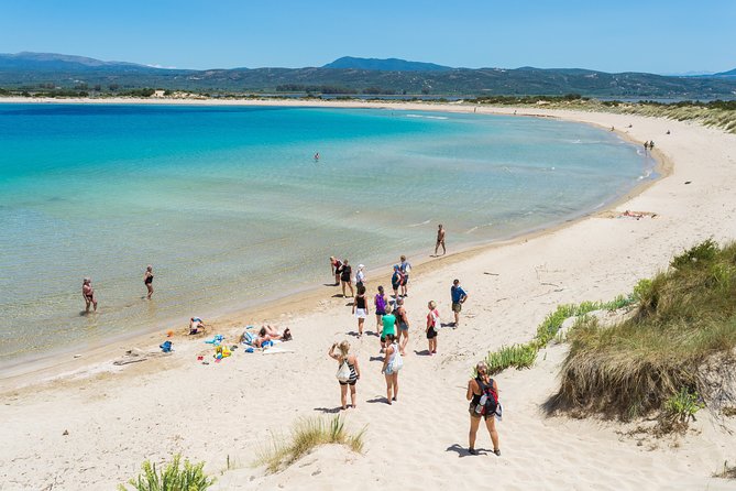 Hiking Around Navarino Bay