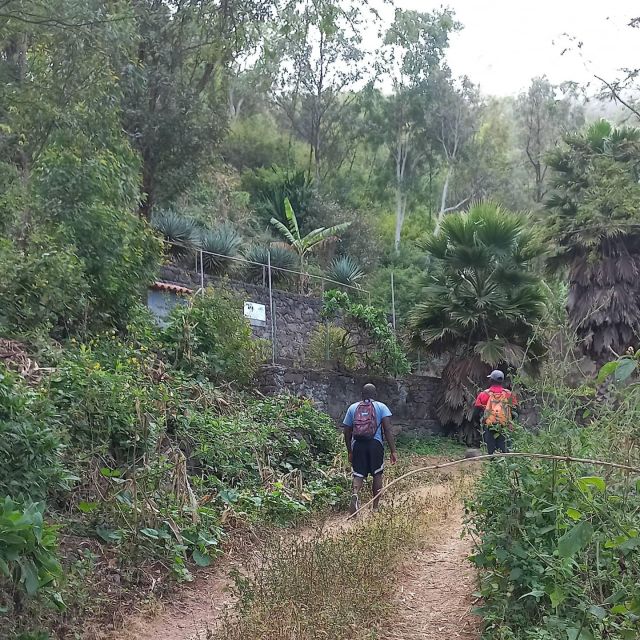 Hiking to the Waterfall Aguas Caidas &Boat Trip to the Cave. - Free Cancellation Policy