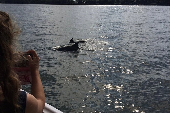 Hilton Head Island Dolphin Boat Cruise - The Wrap Up