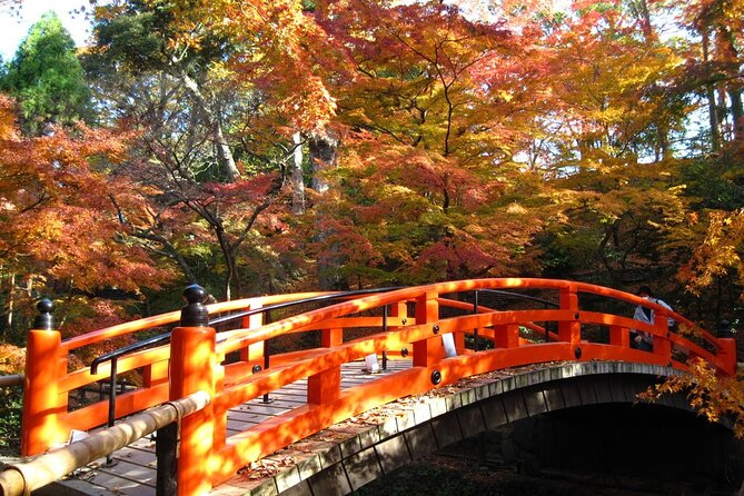 Historical Kyoto Bike Tour - Common questions