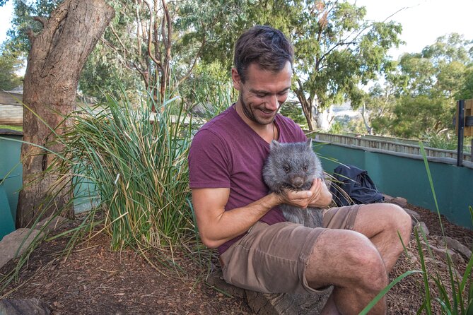 Hobart Highlights Day Tour - Richmond and Bonorong Wildlife Sanctuary