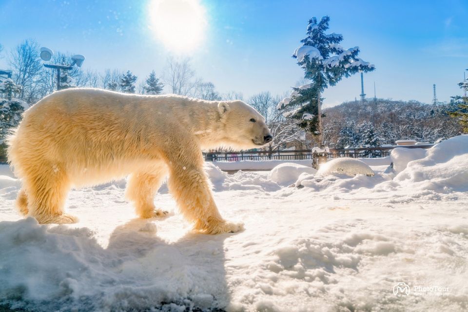 Hokkaido: Asahiyama Zoo, Furano, Beiei Blue Pond 1-Day Tour - Common questions