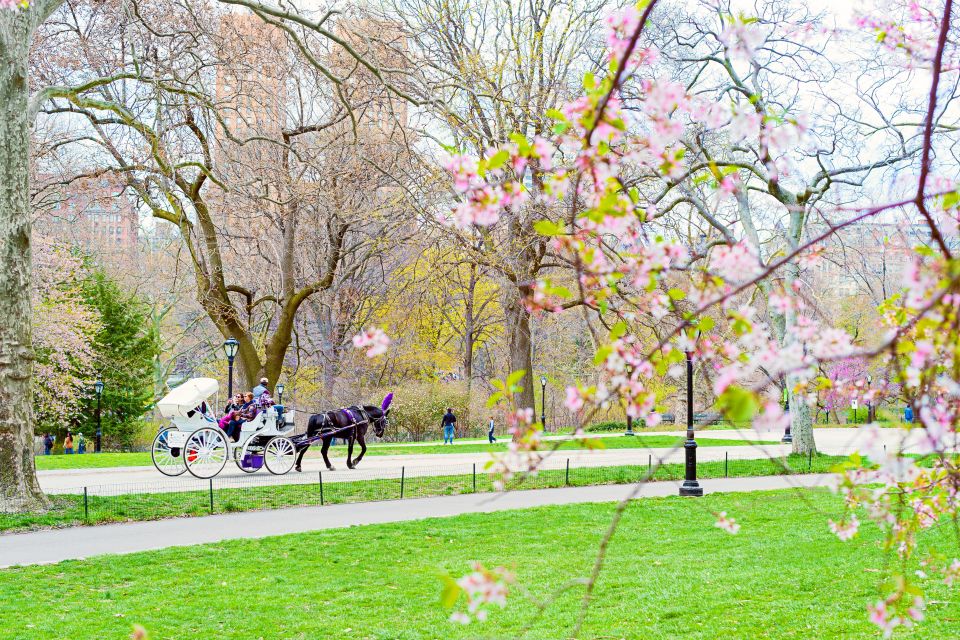 Horse and Carriage Rides Central Park - Last Words