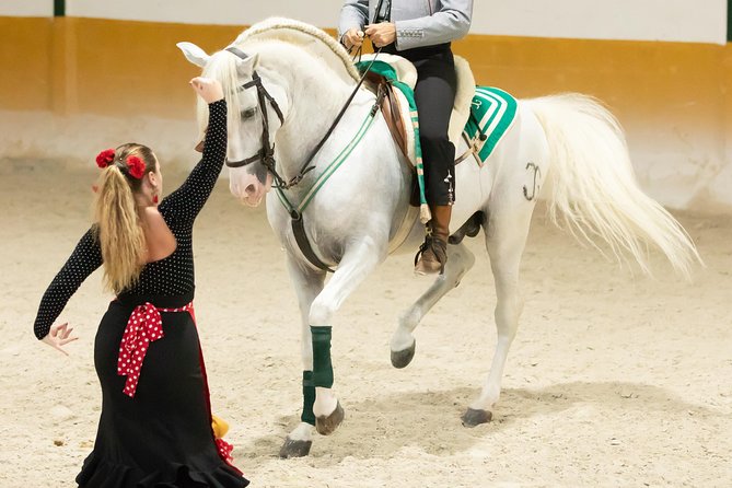 Horse and Flamenco Show in Malaga - Important Reminders