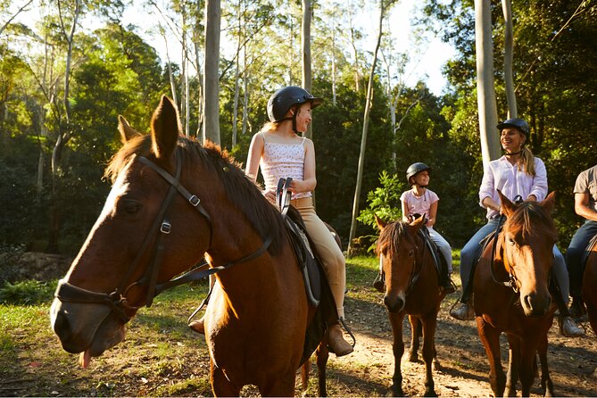 Horse Riding, Koalas & Kangaroos - Wild Australia: Private Tour - Last Words