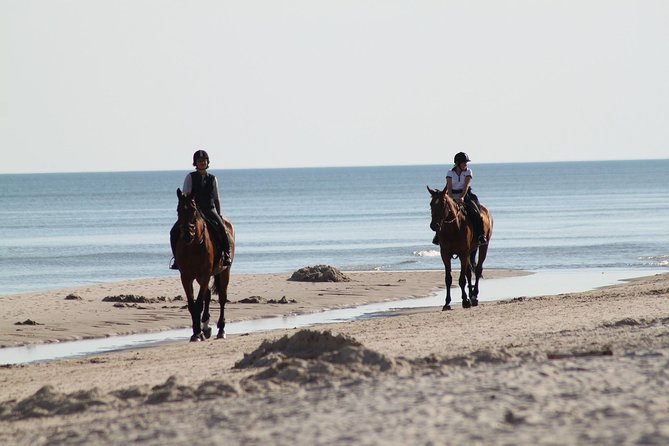 Horse Riding on the Beach, Rhodes - Common questions