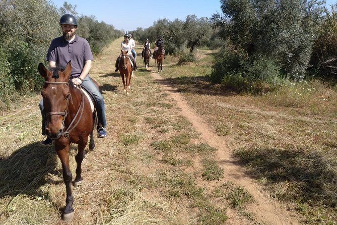 Horse-Riding Tour From Seville (Mar ) - Common questions