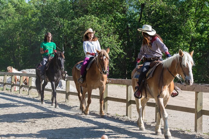 Horseback-Riding in a Country Side in Sapporo - Private Transfer Is Included - Last Words