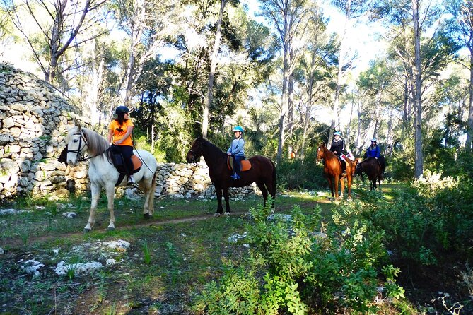 Horseback Riding in Cala Mitjana, Menorca, Spain - Common questions