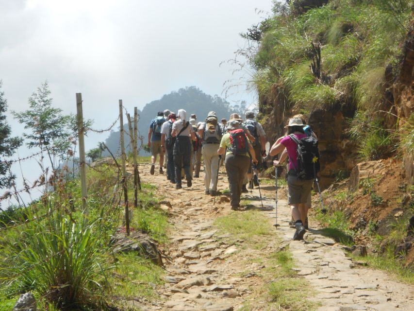 Horton Plains: Pekoe Trail Stage 11 Hiking Trip to Udaweriya - Last Words