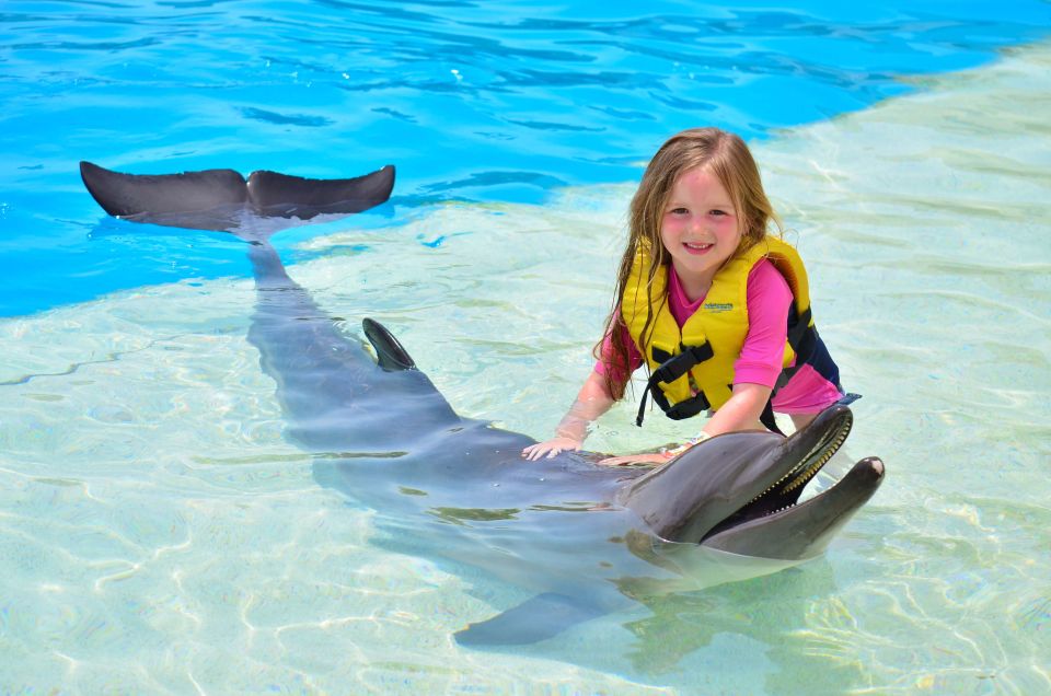 Hurghada: 1-Hour Show at Dolphin World With Optional Pickup - Duration and Inclusions