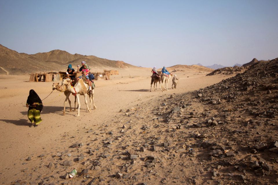Hurghada: 6-Hour Jeep Desert Safari, Dinner, and Show - Pickup Information