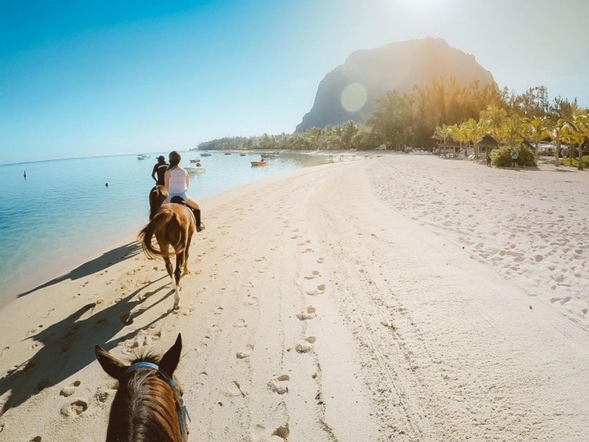 Hurghada: Desert and Sea Horseback Riding Tour With Transfer - Last Words