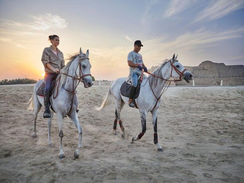 Hurghada: Desert and Sea Horseback Riding Tour With Transfer - Payment Flexibility