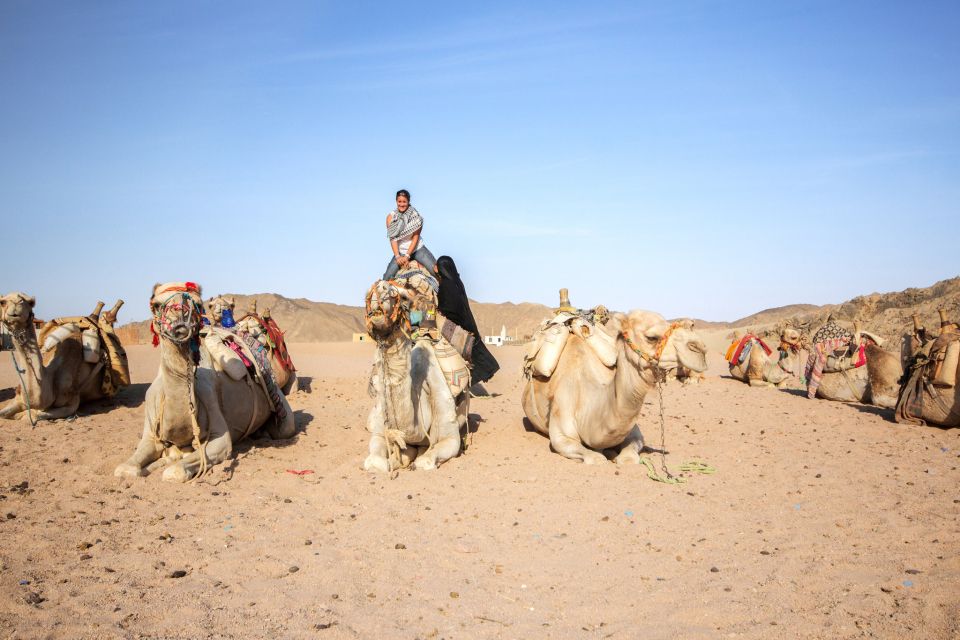 Hurghada: Desert Quad Bike Camel Ride With Optional Gopro - Tour Inclusions