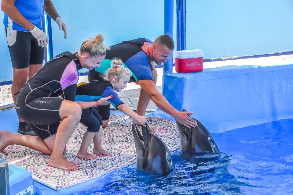 Hurghada: Dolphin World Family Swimming With Pickup - Last Words