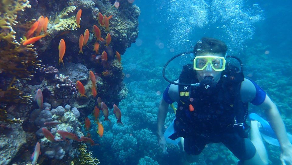 Hurghada: Full-Day Scuba Diving Discovery - What to Bring