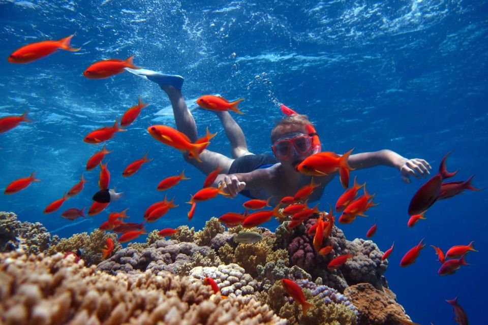 Hurghada: Intro Diving & Snorkeling Tour With Lunch & Drinks - Pick-up Information