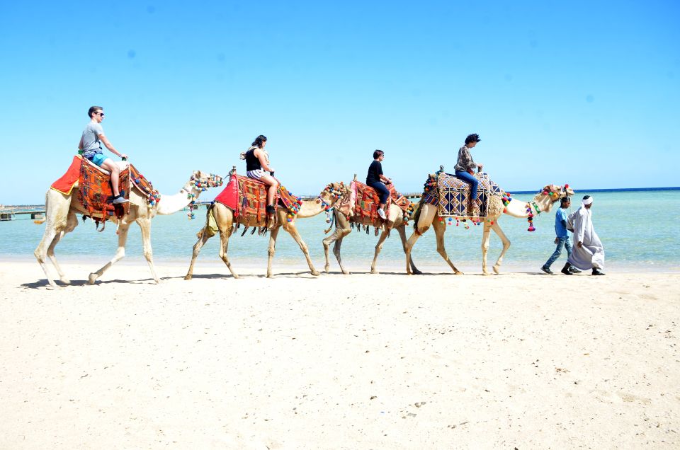 Hurghada: Sea & Desert Camel Ride W/Dinner, Show, Stargazing - Common questions