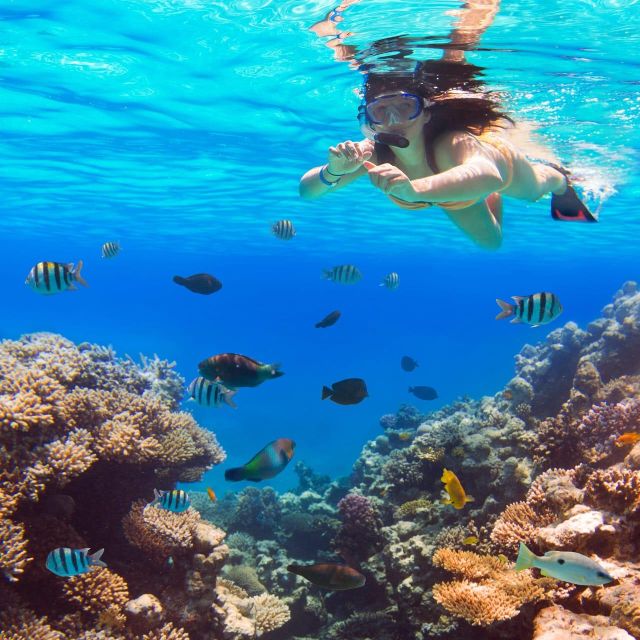 Hurghada: Snorkeling 6-in-1 Yacht Trip to Orange Bay & Lunch - Full-Day Tour Activities