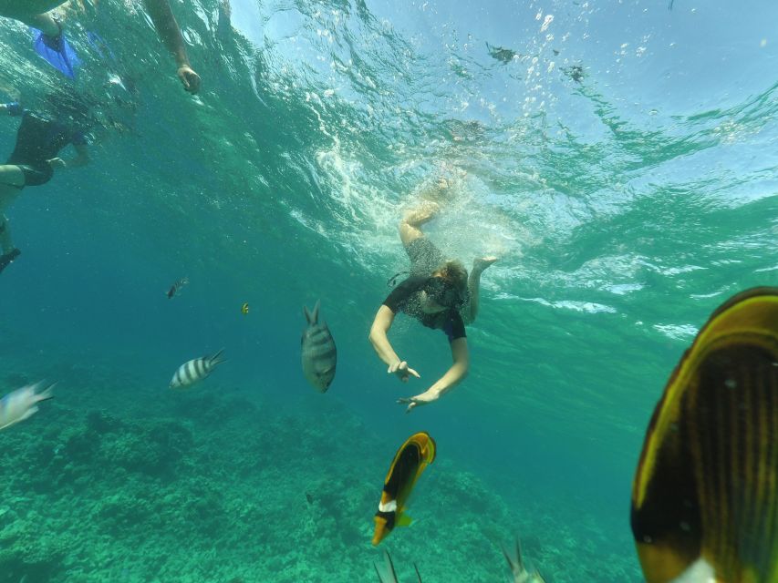 Hurghada: Snorkelling Trip by Speedboat With Hotel Pickup - Speedboat Tour Details