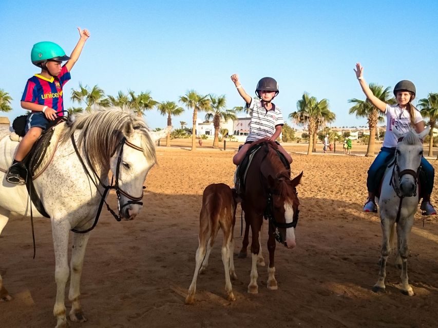 Hurghada: Sunset Sea, Desert Horse W Opt, Dinner, Stargazing - Guest Experiences