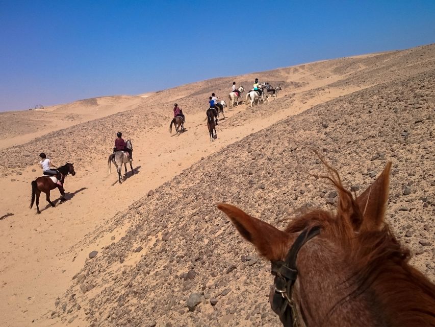 Hurghada: Sunset Sea, Desert Horse W Opt, Dinner, Stargazing - Desert Horse Riding Options