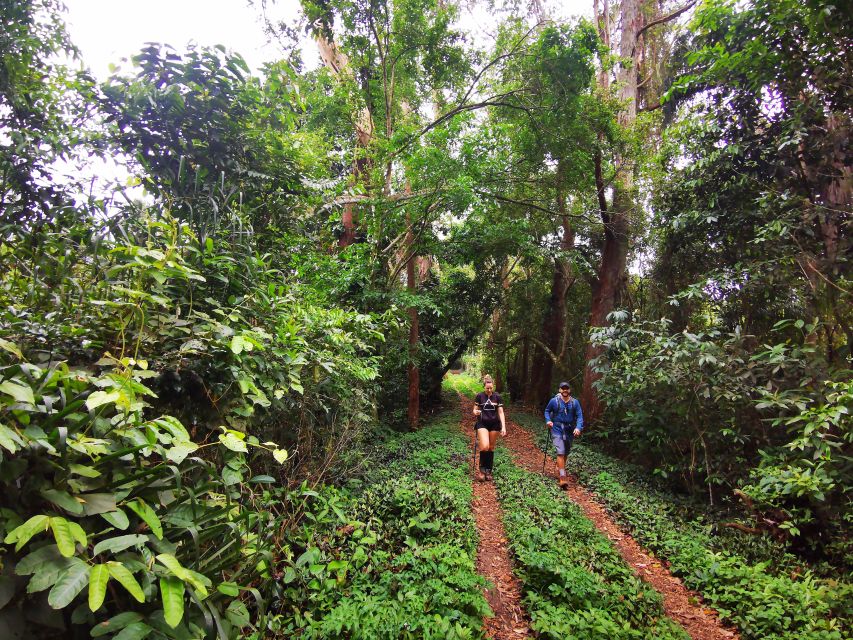 Ilha Grande: Lopes Mendes Private Hiking Tour - Directions