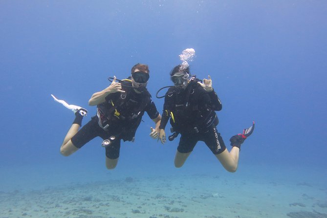 Intro to Scuba Diving in Kaanapali - Pricing, Value, and Dive Locations