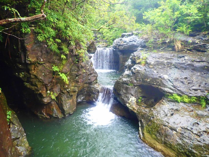 Iriomote Island: Guided 2-Hour Canyoning Tour - Last Words