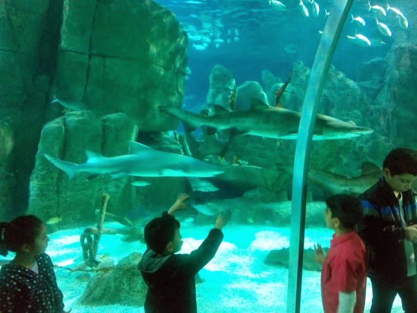 Istanbul Aquarium and Aqua Florya Shopping Mall Tour - Booking and Cancellation Policy