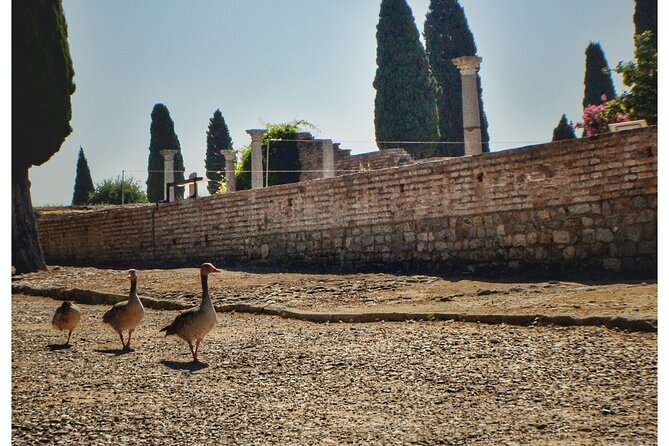 Italica 2-Hour Private Guided Tour From Seville - Common questions