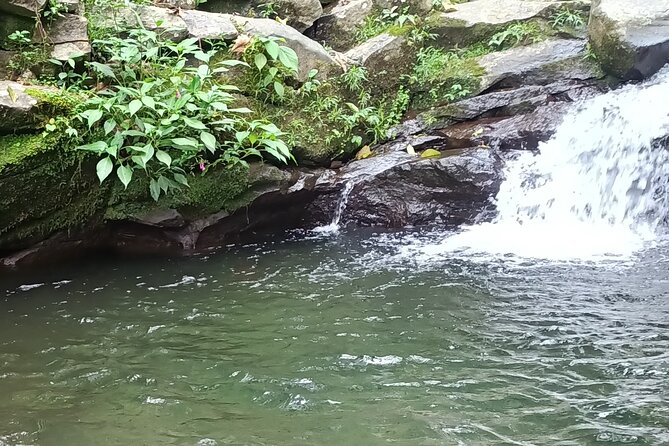 Jakarta Bogor Botanical Garden, Waterfall and Rice Terrace, Lunch - Directions