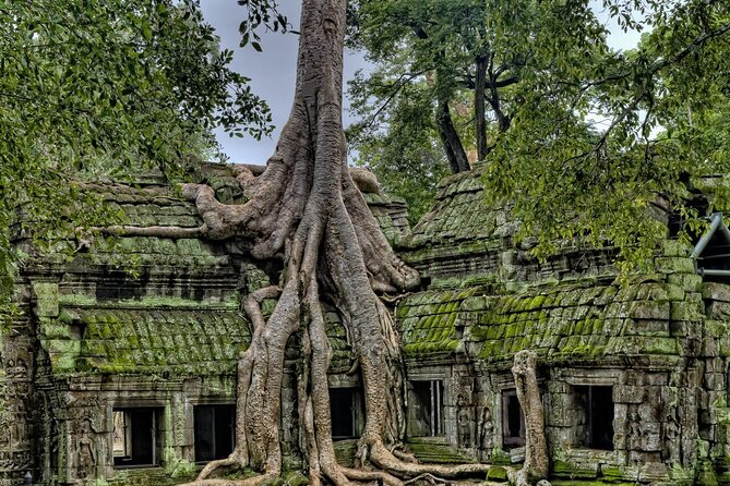 Join Group Tour Angkor Wat Small Group Full Day - Last Words