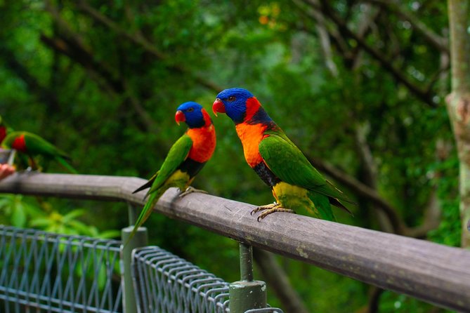 Jurong Bird Park Bird Photography - Reviews and Ratings Assessment
