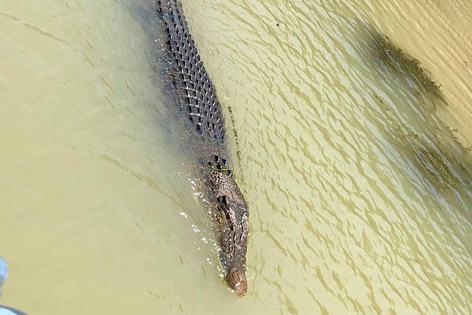 Kakadu National Park Scenic Flight &Yellow Water Cruise - Pricing and Inclusions