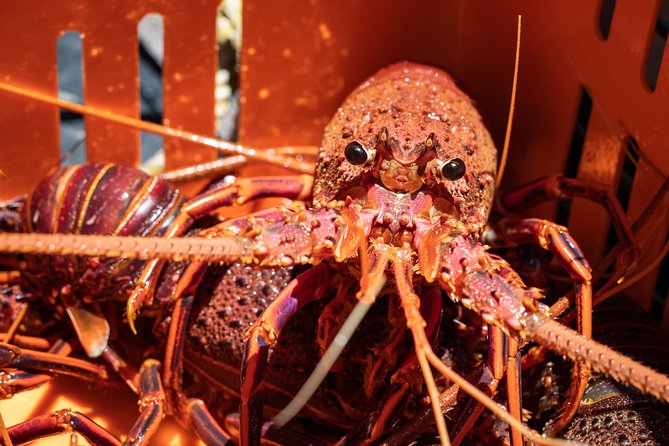 Kalbarri Rock Lobster Pot Pull Tour in Kalbarri - Booking and Cancellation Policies